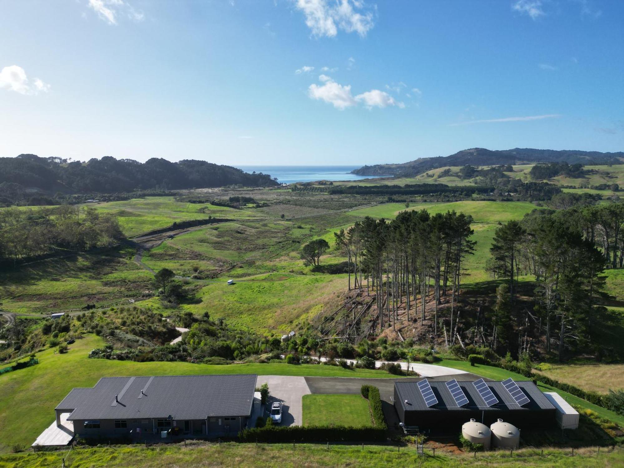 Hot Water Beach Lookout B&B Hahei Exterior photo